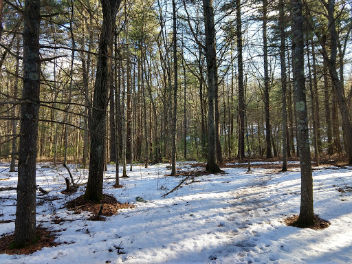 Warner Trail - Visual