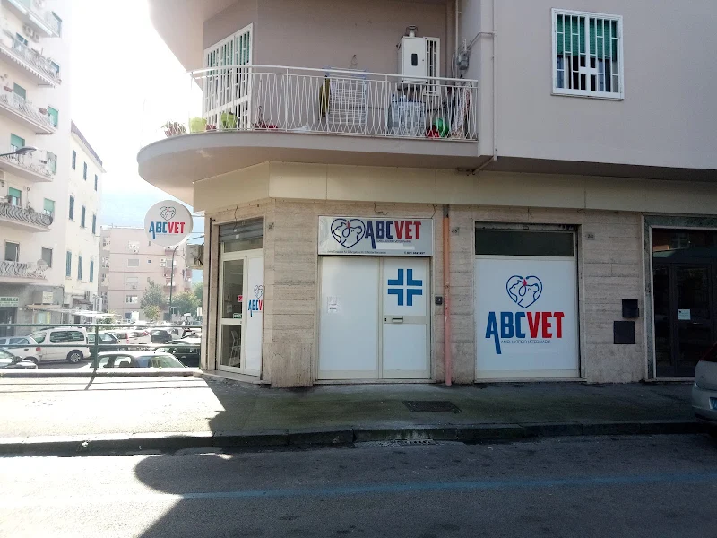 ABCVET AMBULATORIO VETERINARIO photo