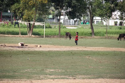 Photos of Cox's Bazar Government College