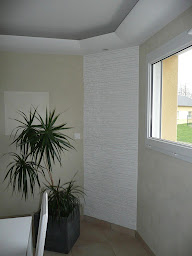 Photo n°4 de Louin Vincent à Athée (Peintre en bâtiment)