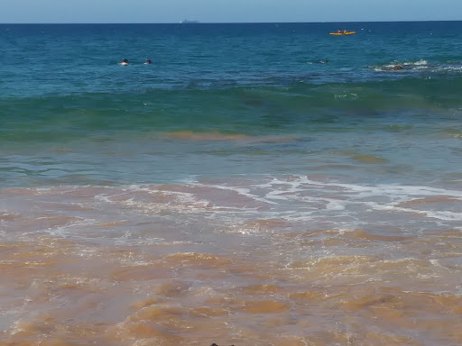 Snorkel Bob's Kihei - Thumbnail