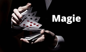 Photo n°20 de DJ mariages Nantes à Divatte-sur-Loire (Prestataire de mariage)