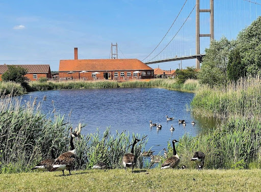Humber Bridge Garden Centre - Thumbnail