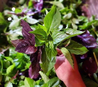 Orchard Hill Organics LLC 9 Orchard Hill Rd, Katonah, NY 10536