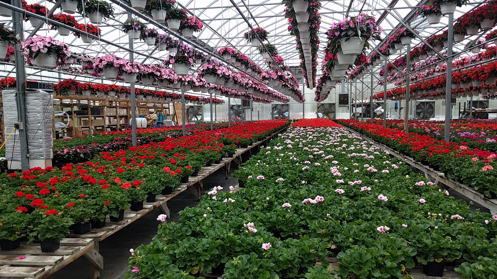 Brigiotta's Greenhouse & Garden Center