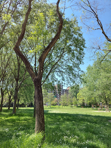 Parco Don Bosco - Thumbnail