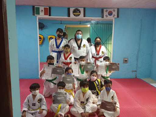 AMTKD "ITZINCAB" - Visual