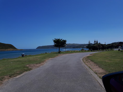 Ngati Toa Domain - Thumbnail
