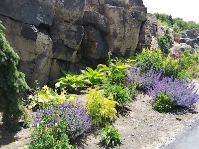 Rock Gardens