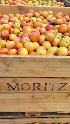 Photo n°5 de Ferme fruitière Moritz à Ergersheim (Producteur de nourriture)