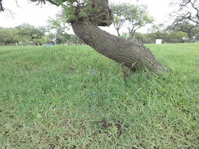 Photos of Dos Banderas