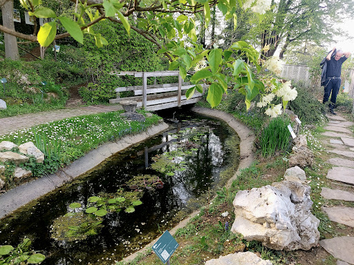 Orta Botanico Di Bergamo "Sezione di Città Alta" - Thumbnail