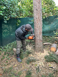 Photo n°22 de André Élagage la Queue-en-Brie à La Queue-en-Brie (Service d'élagage)