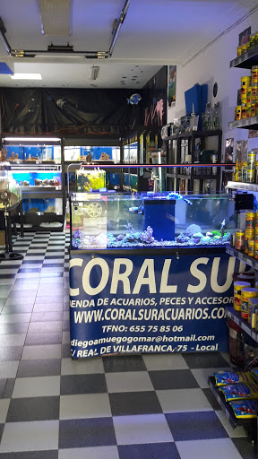 Coral Sur - Thumbnail