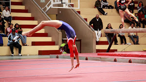 ESCUELA DE GIMNASIA 5