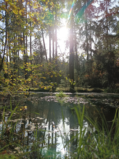 Deglweiher - Visual