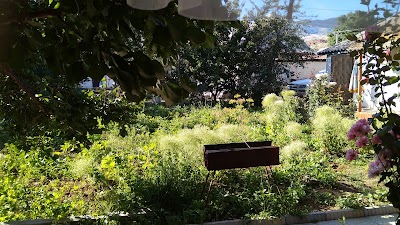 Photos of Гостевой дом "Люкс", Иссык-Куль
