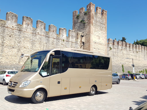 Magic Bus Srl - Visual