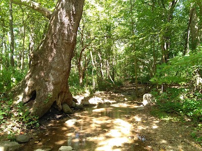 Aullwood Audubon Center and Farm