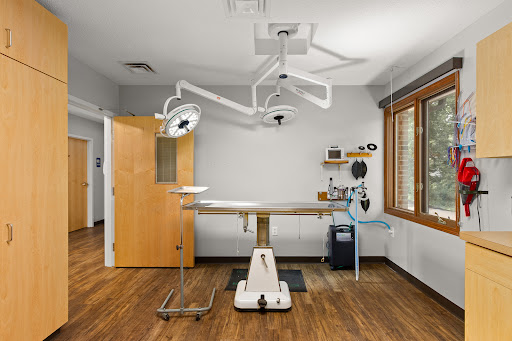 Phillips Animal Hospital - Thumbnail