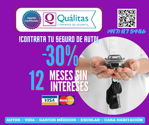 Agente de Seguros y Fianzas Leon & Asociados - Thumbnail