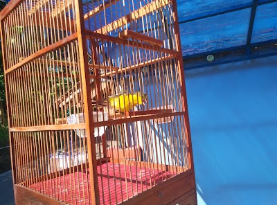 Photos of Rumah Viki