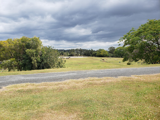 Albany Creek Pony Club