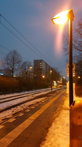 Zingster Str. (Berlin) - Thumbnail