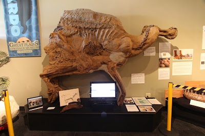 Great Plains Dinosaur Museum