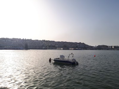 Photos of ONAT Port d'Alger