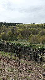Photo n°8 de Labyrinthe Géant des Monts de Guéret - ENTREPRISE FRÉRY à Guéret (Attraction touristique)