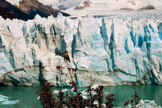 Perito Moreno Glacier