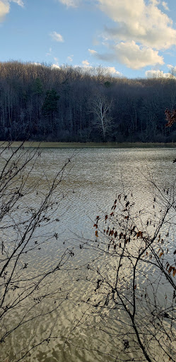 Jackson Lake - Visual