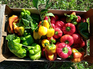 Photo n°21 de La Blacasse à Saint-Martin-de-Pallières (Centre de bien-être)