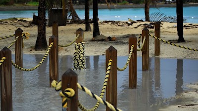 Photos of Khyla's Island Philosophy