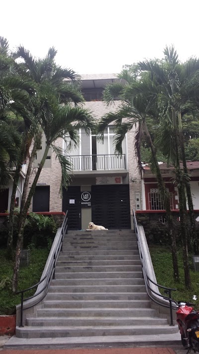 Photos of LOVELAOVIET