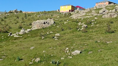 Photos of Evelek Yalagı (karaovacık)