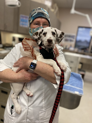 ABC Animal & Bird Clinic