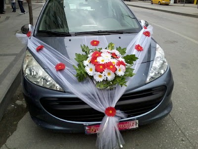 Photos of &Ccedil;i&ccedil;ek D&uuml;nyası - Tokat