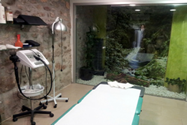 Monfisiocentre - Visual