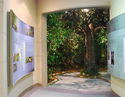 Photos of 문경자연생태박물관(Mungyeong Ecomuseum)