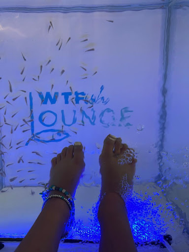 WTFish Lounge - Thumbnail