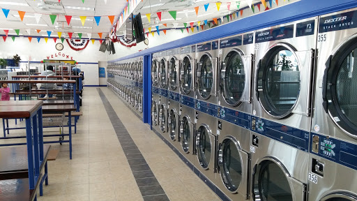 LAUNDRY TREE - Visual