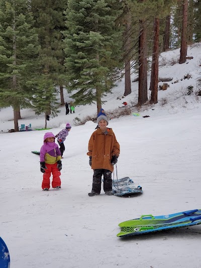 Public Sledding