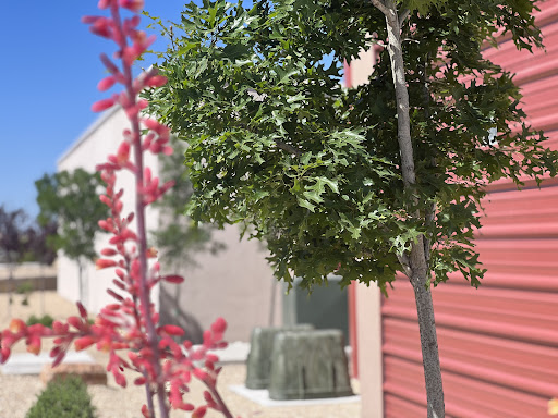 Las Cruces Storage - Thumbnail
