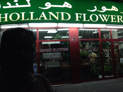 Photos of Holland Flowers زهور هولندا