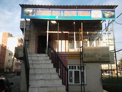 Photos of Bitanem halı yıkama