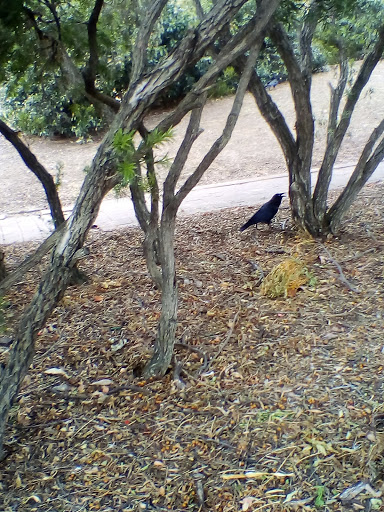 Kokoda Park - Thumbnail