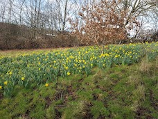 Maryhill Park glasgow