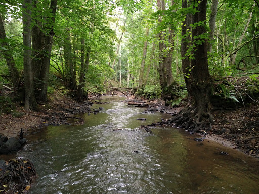 Naturreservatet Bratteforsån
